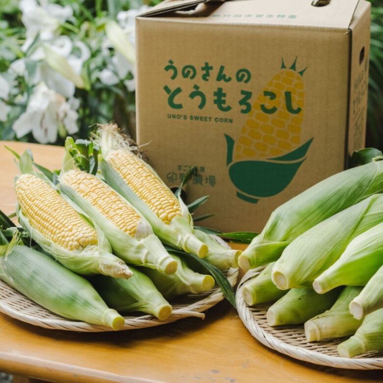 竹田市名産の「極甘スイートコーン」の生産者「卯野農場」様に現地取材した記事です。